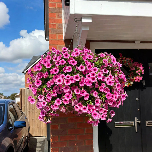 🔥LAST DAY 50% OFF🔥UV RESISTANT ARTIFICIAL PETUNIAS FLOWERS