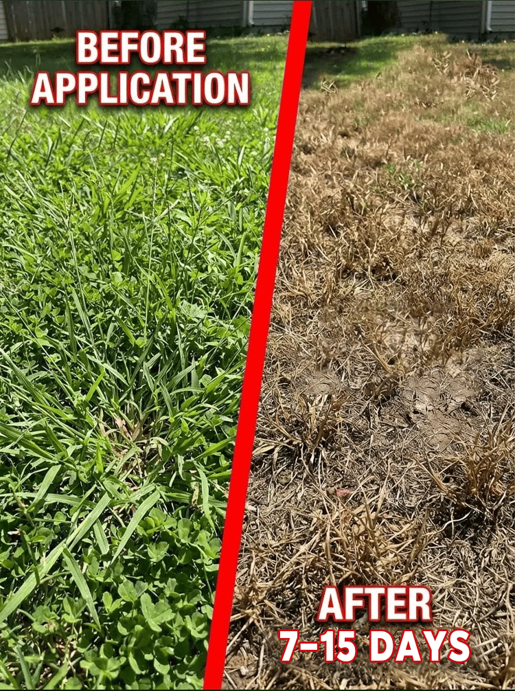 🔥Herbicide and root rot control agent